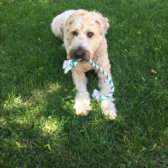 Meet your Posher, Maureen - Picture 8 of 9